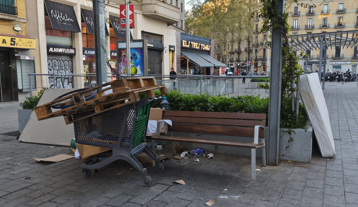 MerGraCan tweet media