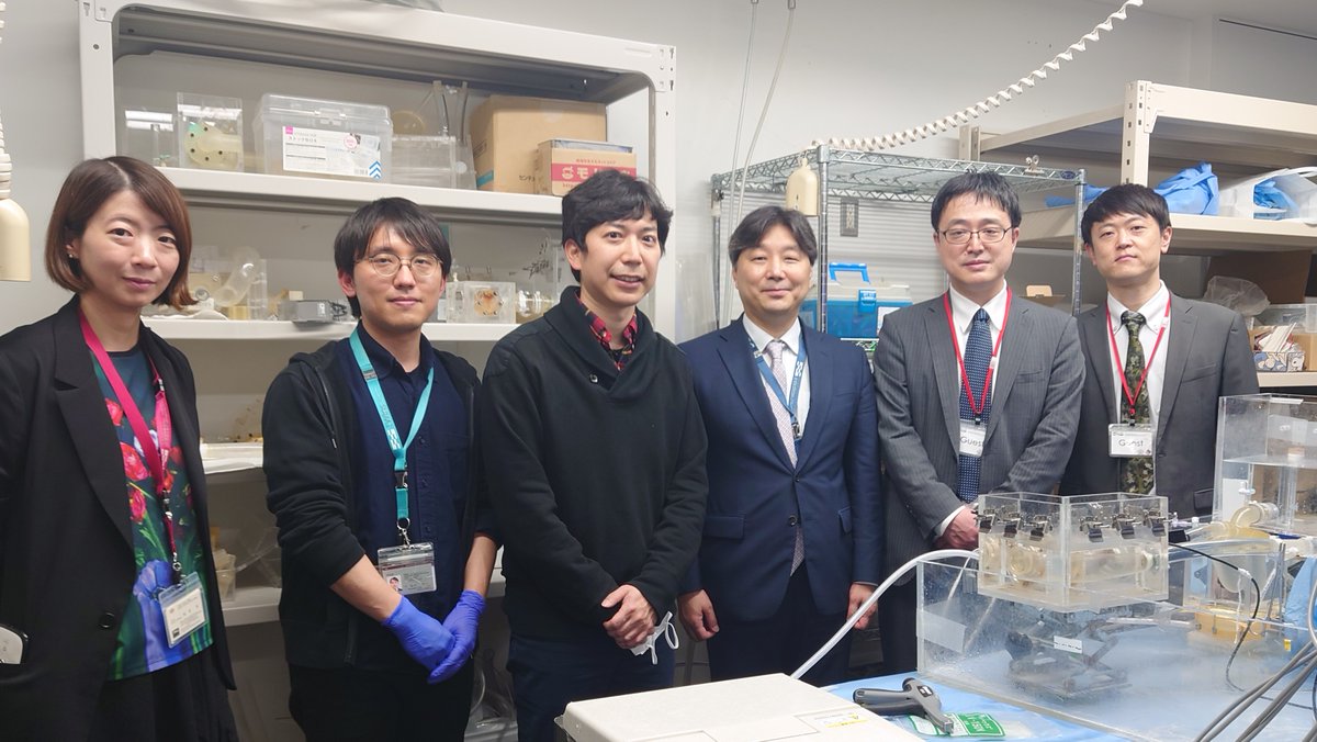 東京慈恵会医科大学 心臓外科 tweet media