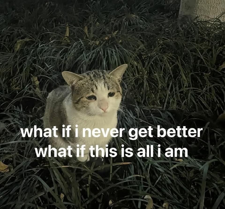 feelings ღ tweet media