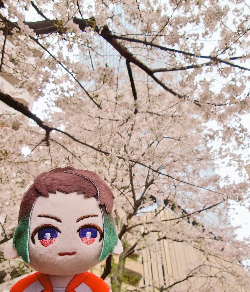 スージー tweet media