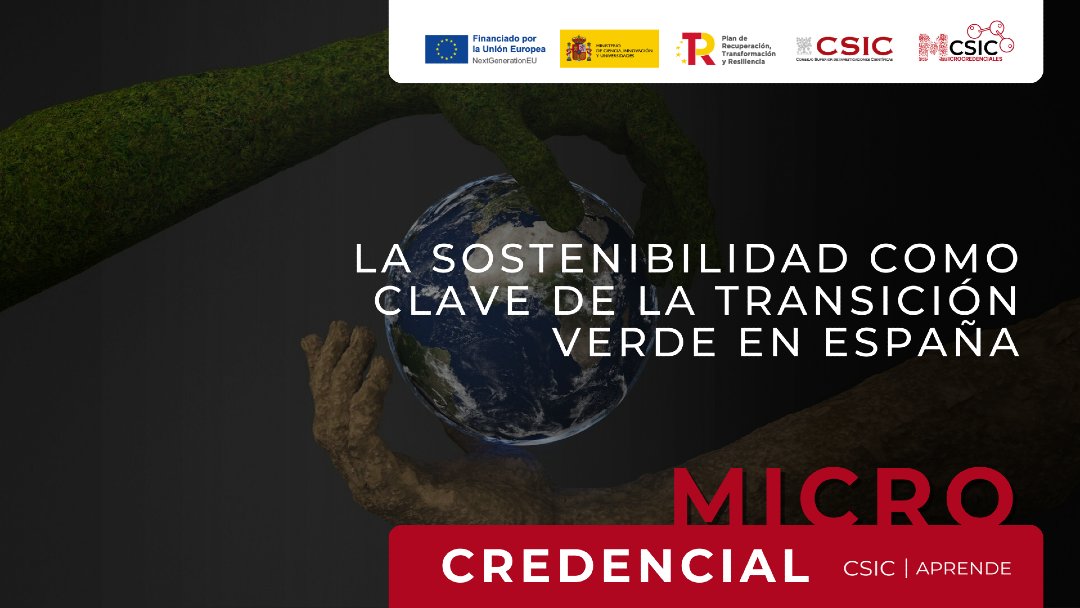 Conecta13 tweet media