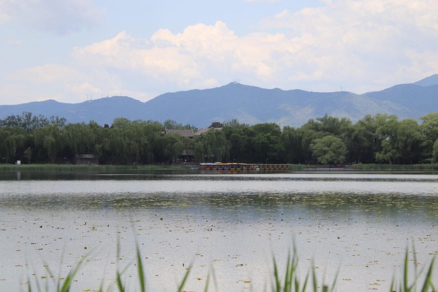 Chad Shorter tweet media