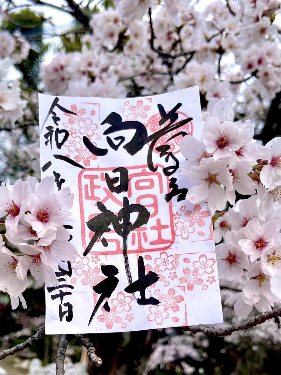 🦊女狐おこん㊙️ tweet media