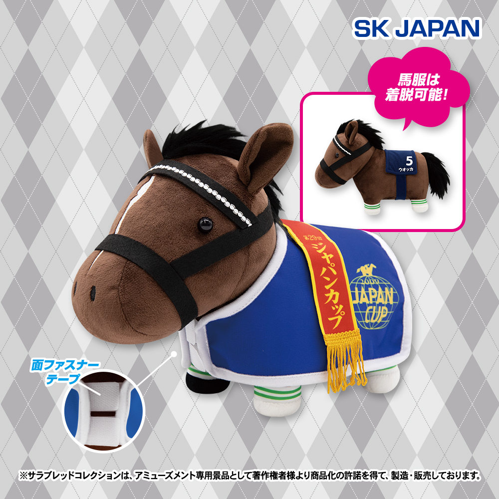 サラブレッドコレクション【公式】 tweet media