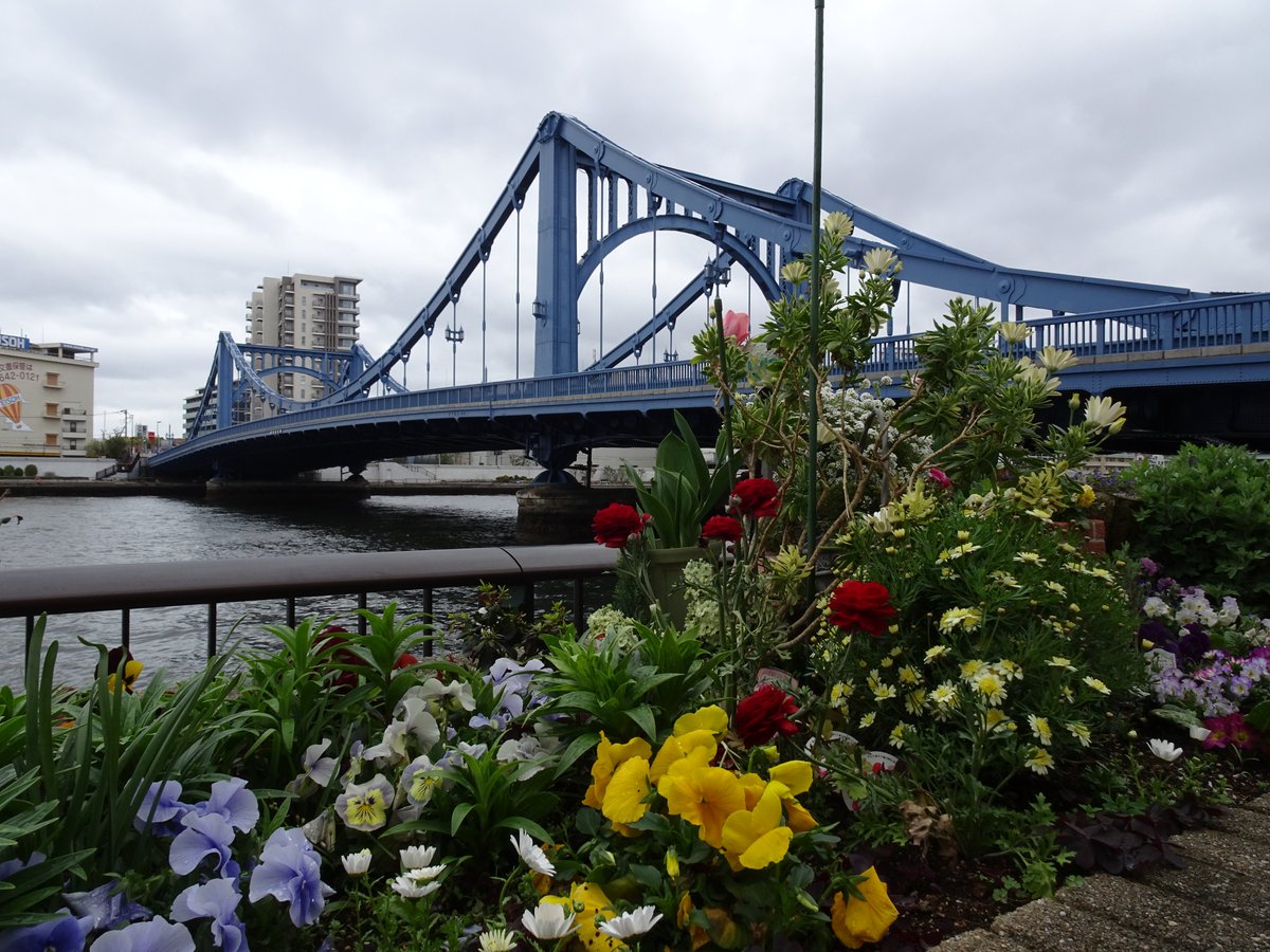 集まれ！隅田川 tweet media