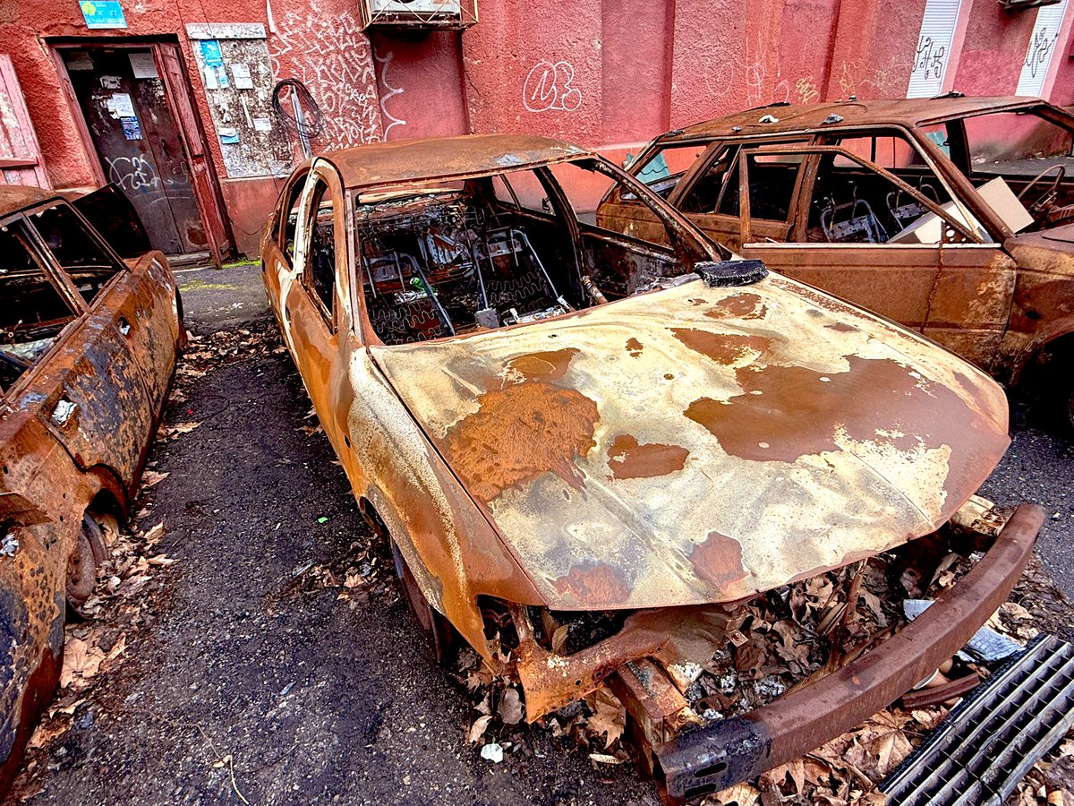 Zarina Zabrisky 🇺🇸🇺🇦 tweet media