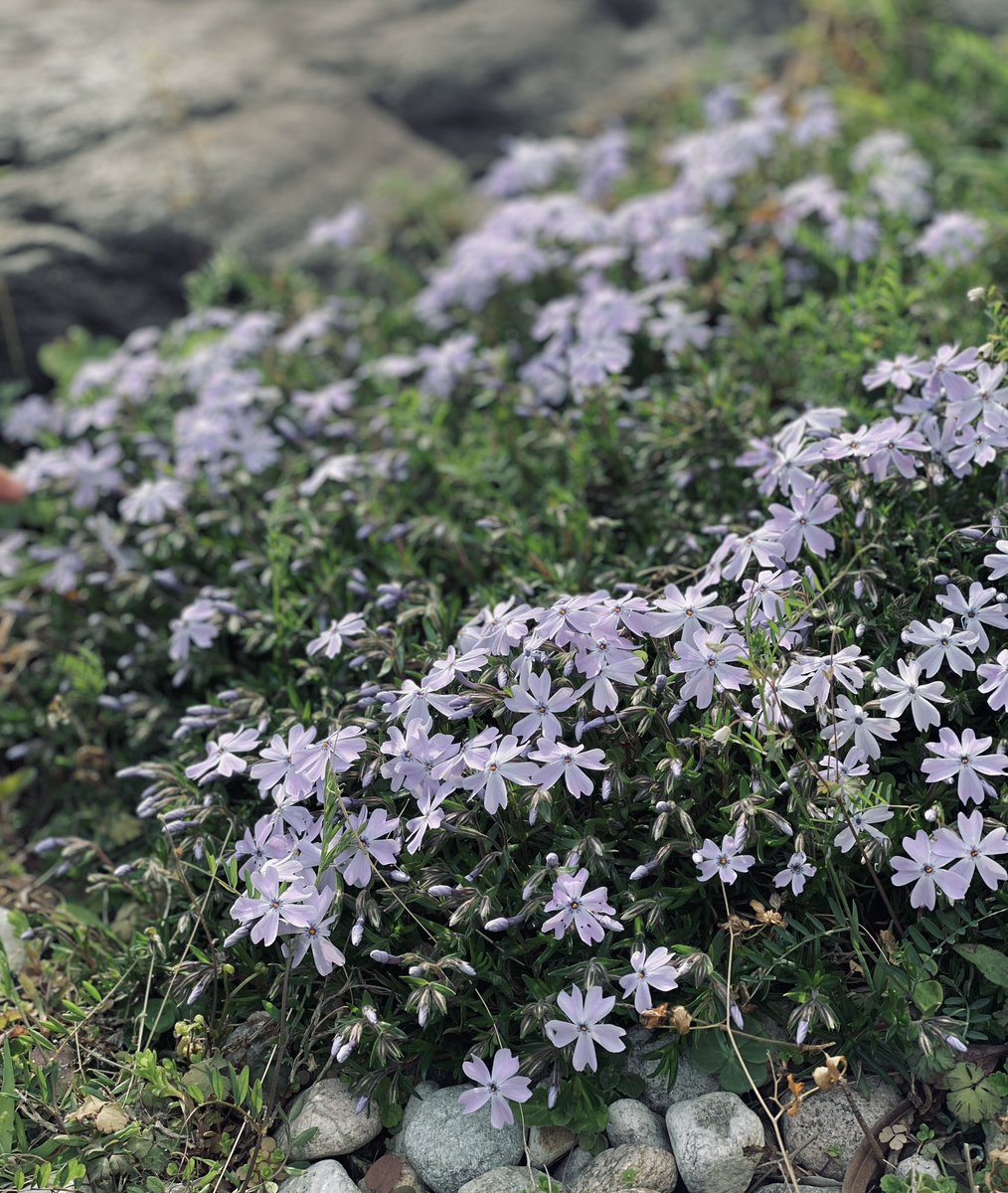 Tim@隙間トレード tweet media