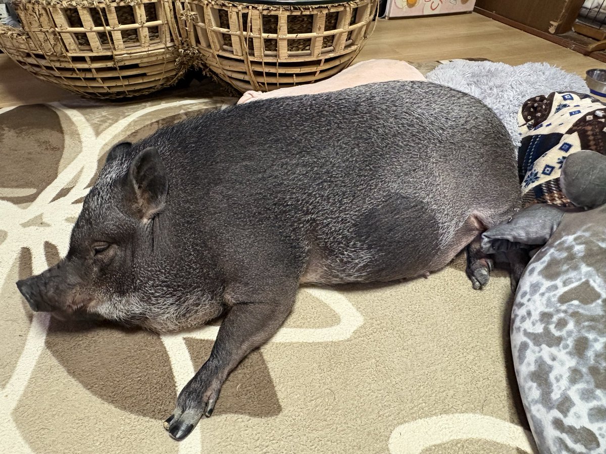 handmade Life tweet media