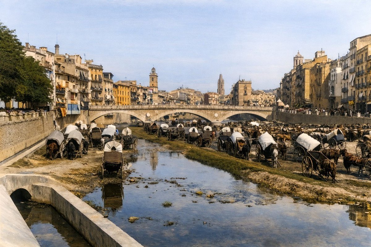 Catalunya Color tweet media