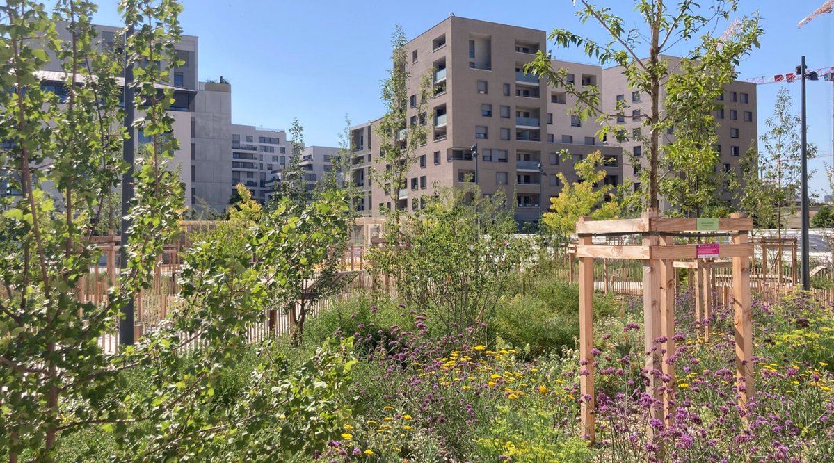 LyonStrates tweet media