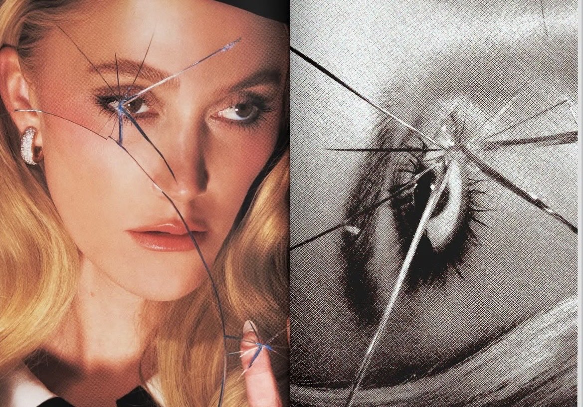 Maxwell Klaiber tweet media