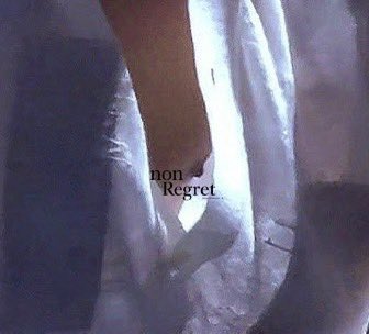 ✦✦✦✦ tweet media