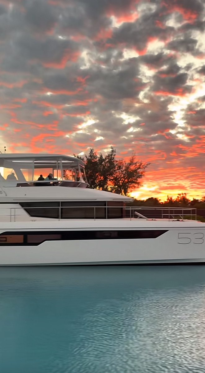 Yemi 🟢 ♻️ 💚 🍊 tweet media