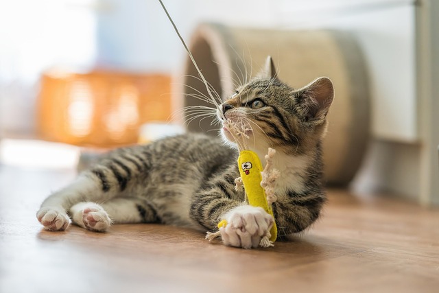 Danielle Elliott tweet media