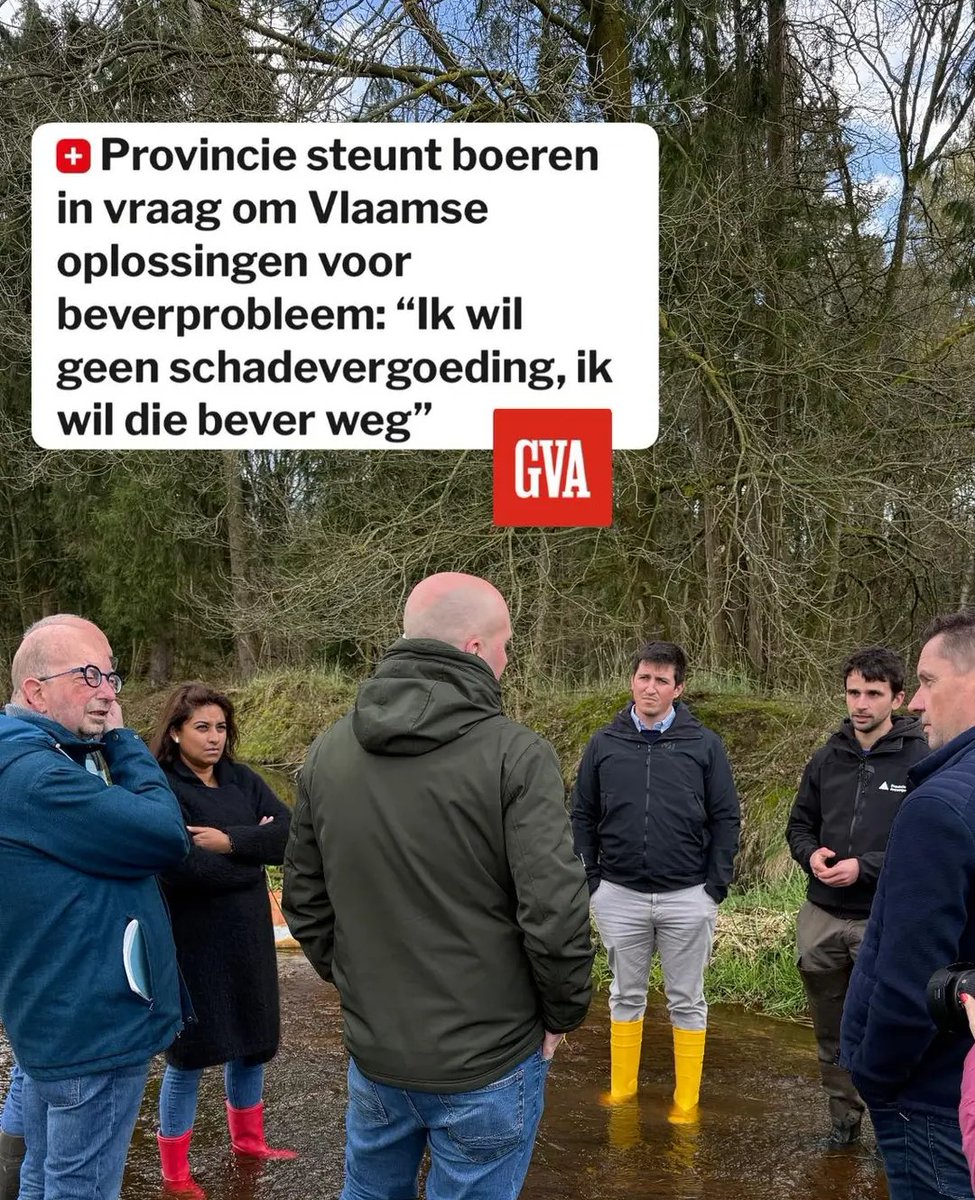 RubenBaetens's tweet photo. De bever is een probleem voor wat boeren, dus de bever moet weg. Ook de natuurlijke vijand van die bever (de wolf) vinden we een probleem - om dezelfde reden.

Liefst van al was Vlaanderen gewoon 1 groot industriepark. https://t.co/biQuCsNA96
