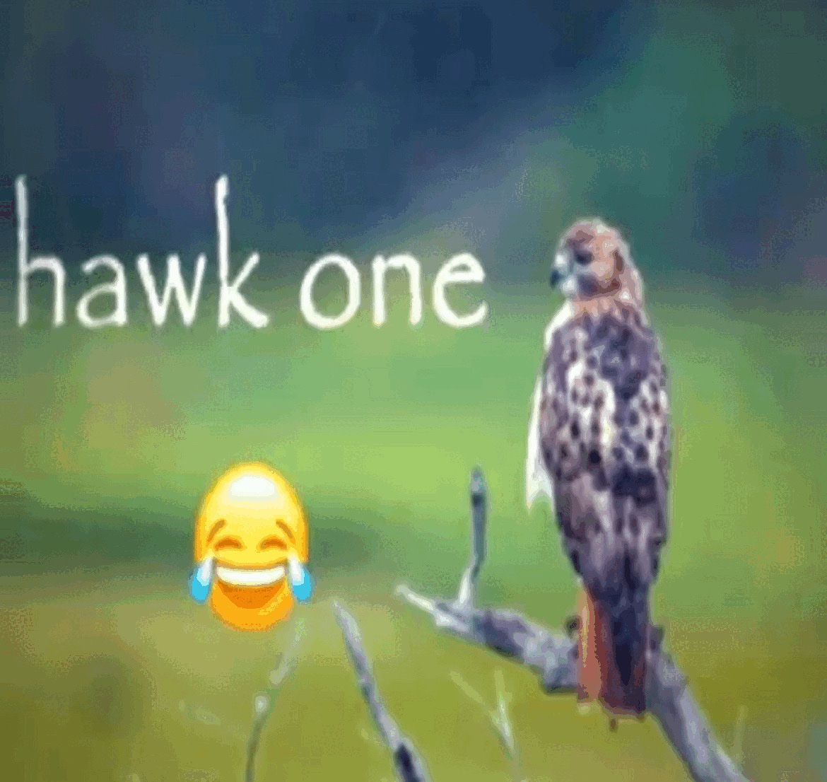 Chief ⚔️ ‼️ (Dinosaurs Are Real) tweet media