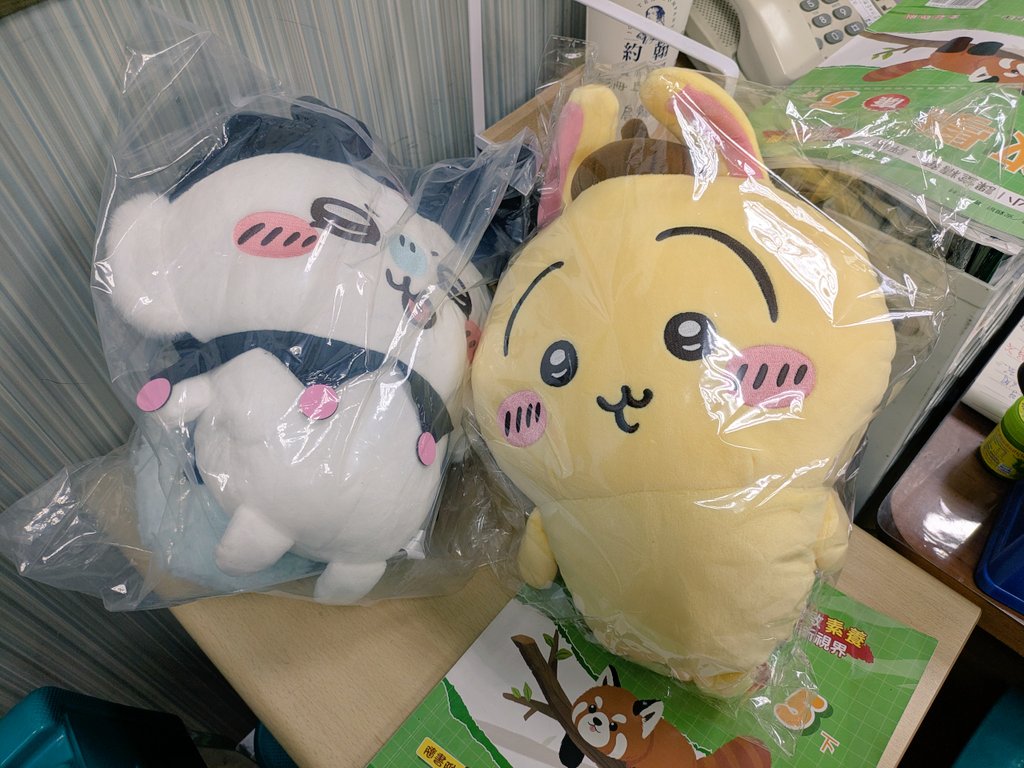 好大隻！超可愛🤣🤣