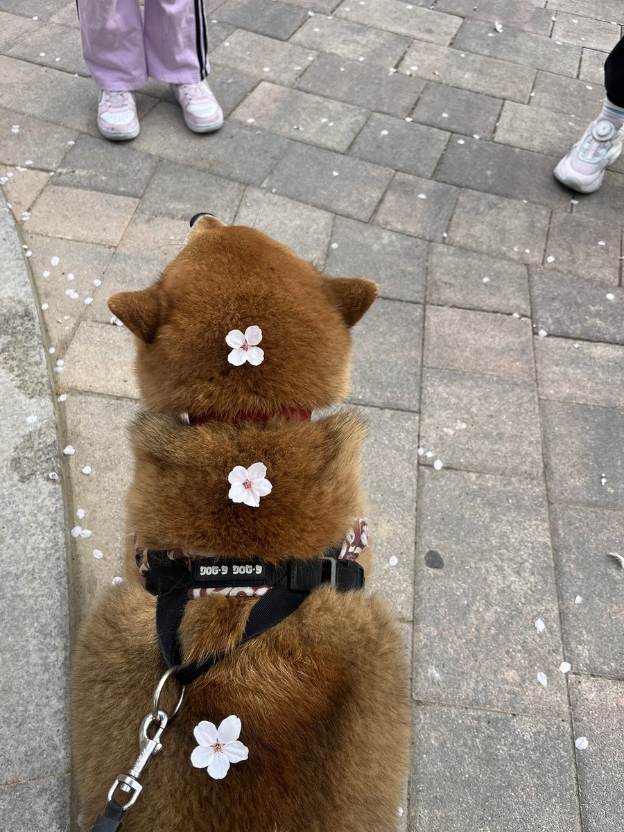 젤리누나🌙 tweet media