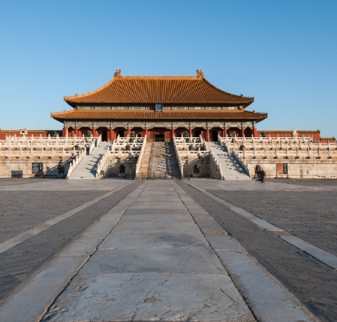 ErHai Cat洱海边的一只猫 tweet media