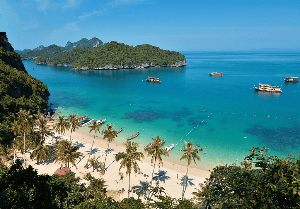 Rohit bhuriya Rohit tweet media