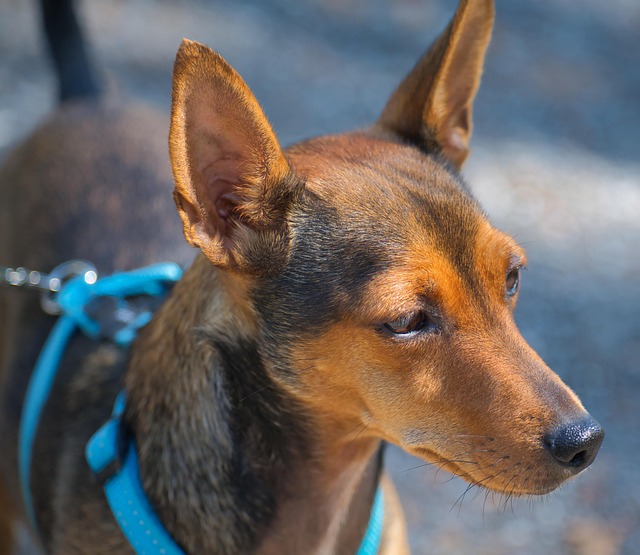 Mark Herman tweet media