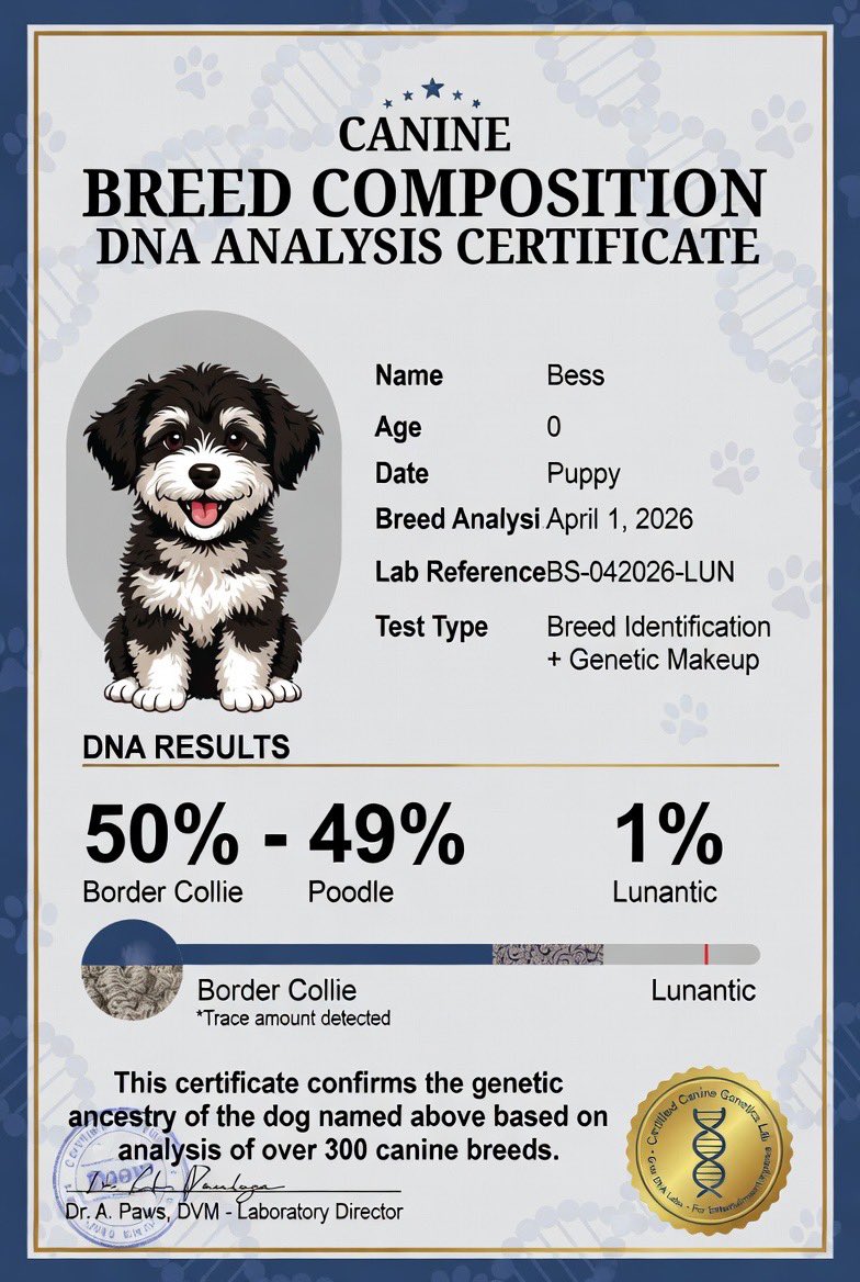 Puppy Bess and Auntie Kes tweet media