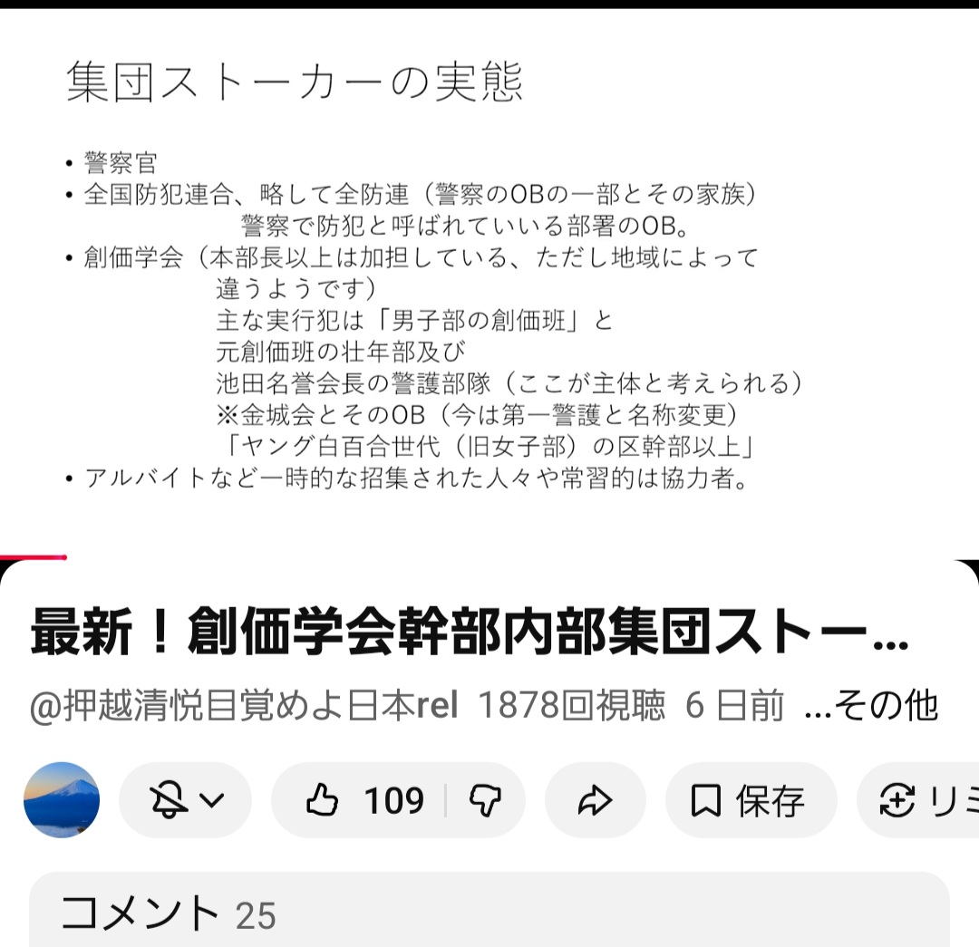 ⭐　🇯🇵海山 いるか　⭐ tweet media