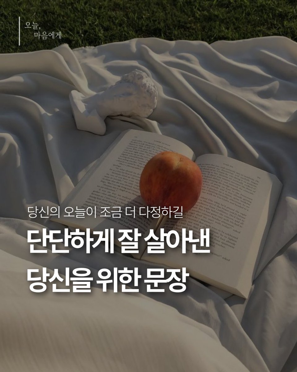 베가북스 tweet media