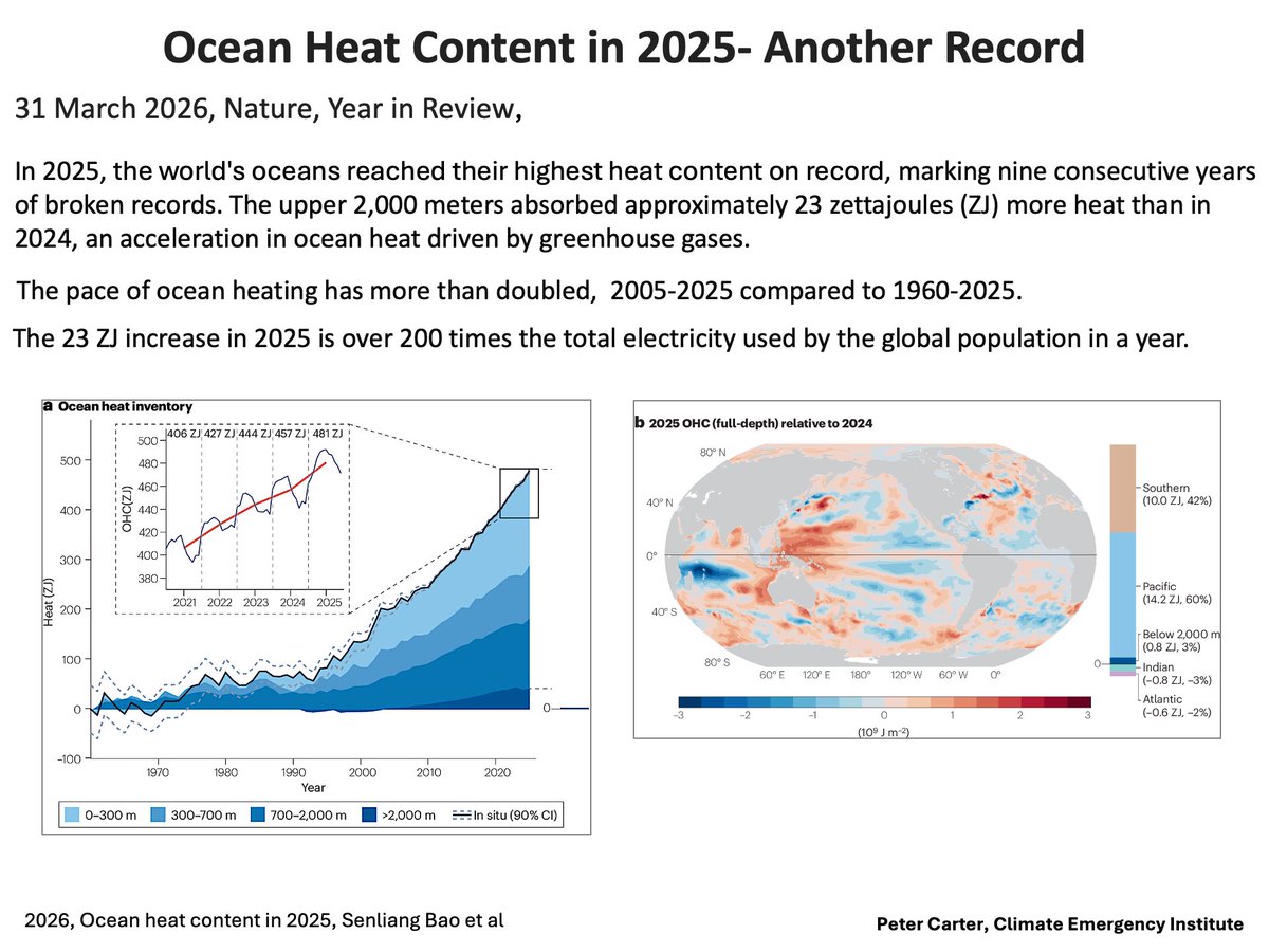 Peter D Carter tweet media