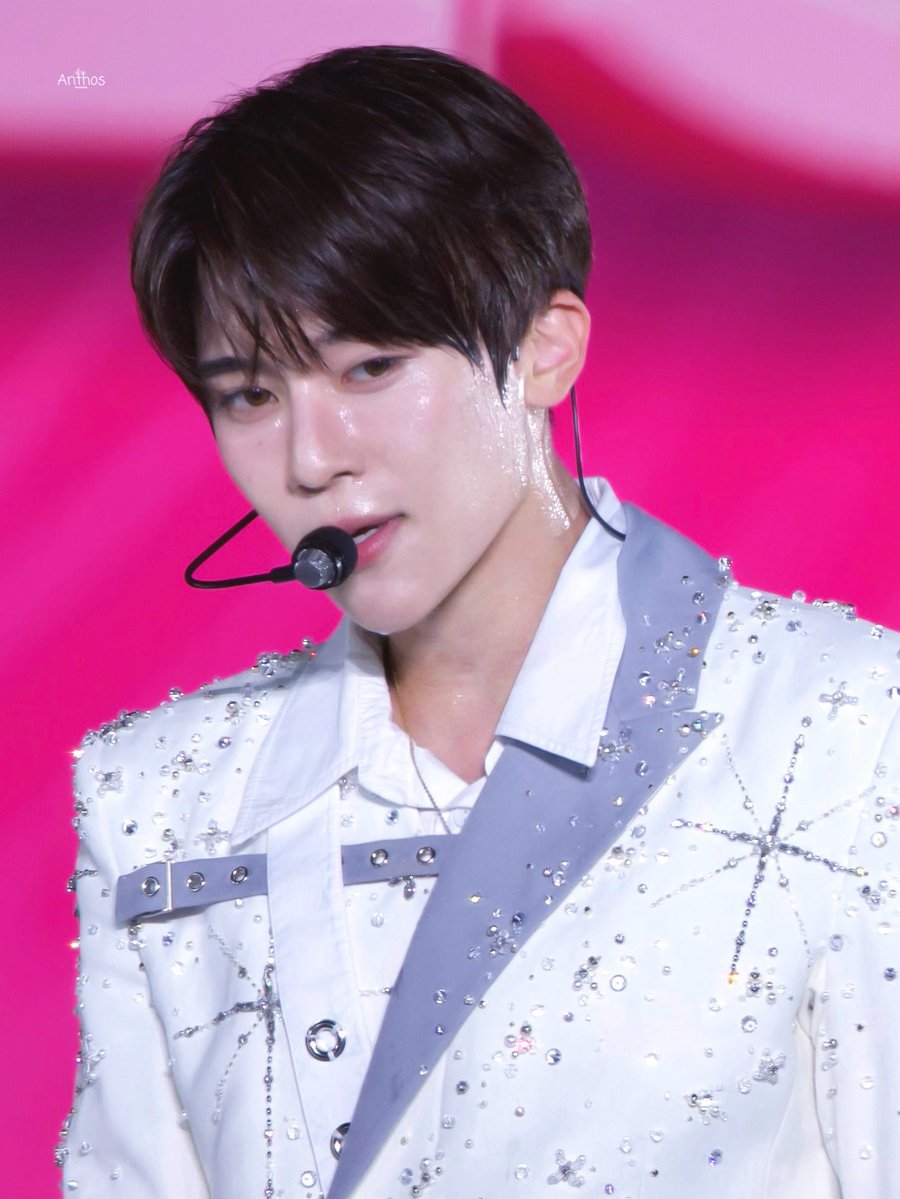 Anthos🌻 tweet media