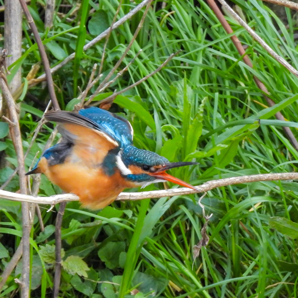 るもちゃん🌈とヒロ tweet media