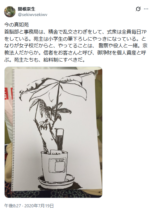 えくぼちゃん tweet media