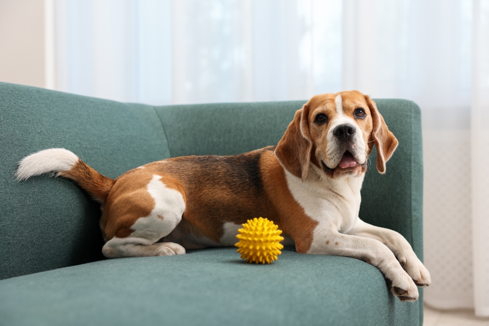 Everything PR tweet media