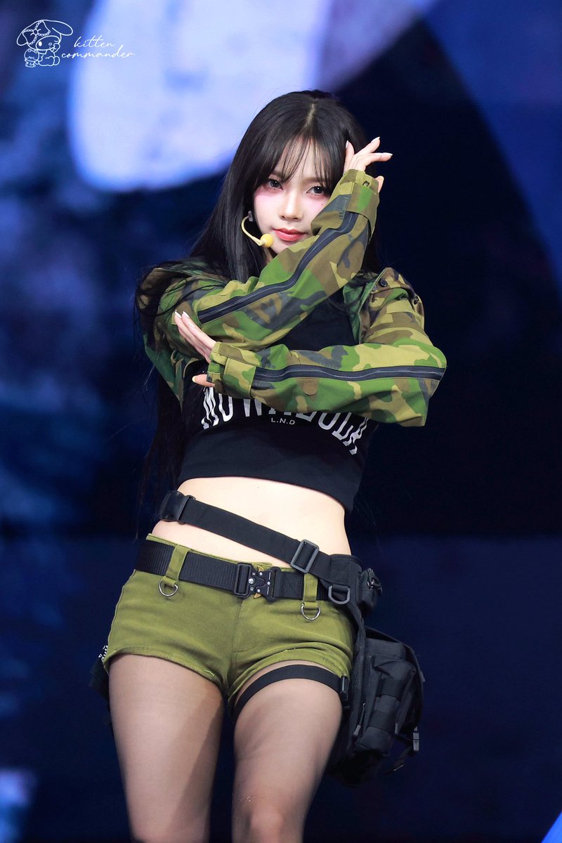 고양이 tweet media