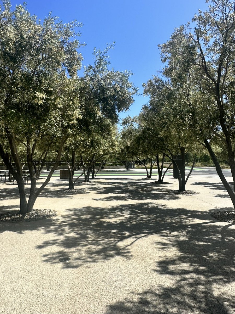 Andre P. Fink tweet media