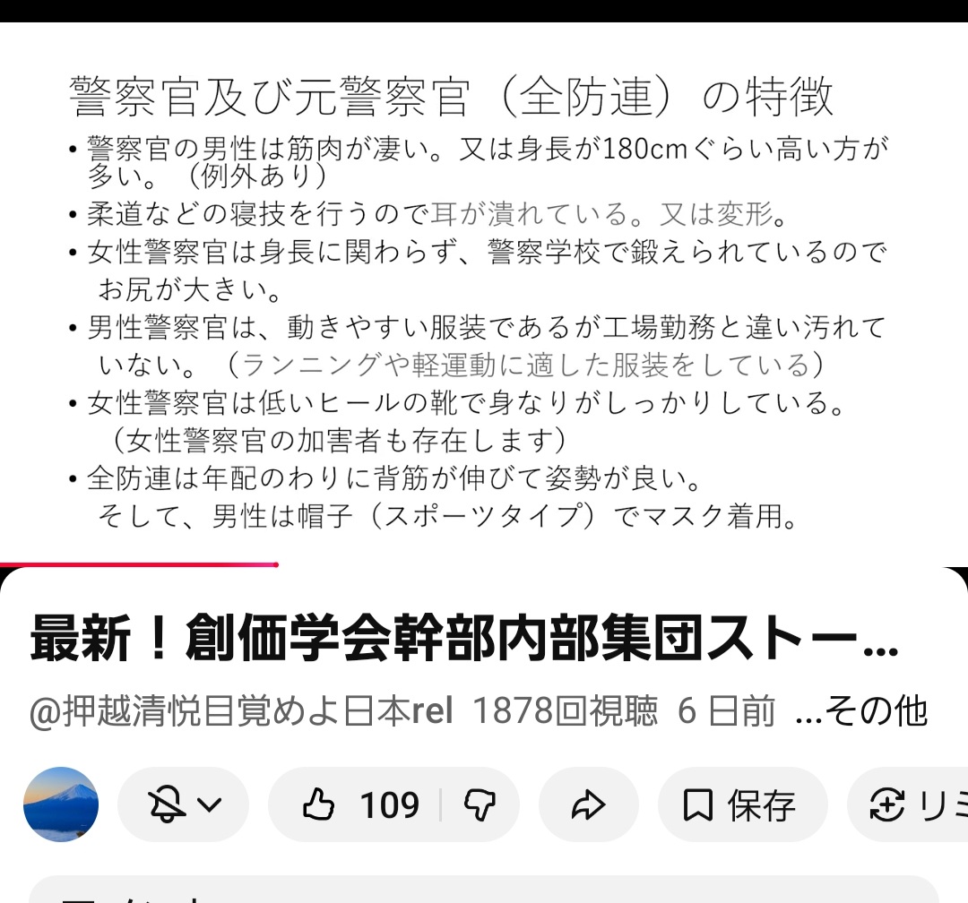 ⭐　🇯🇵海山 いるか　⭐ tweet media