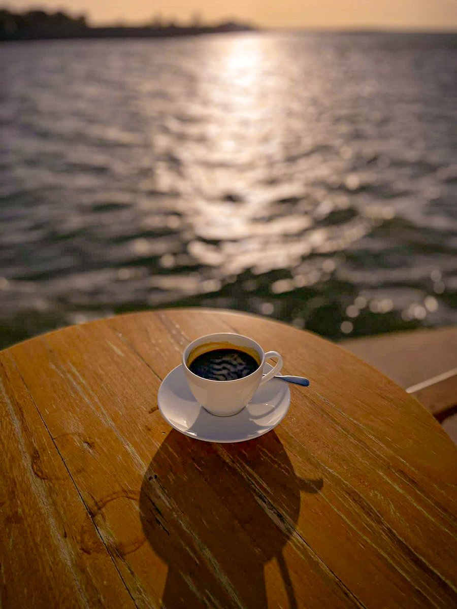 مشاري القحطاني tweet media