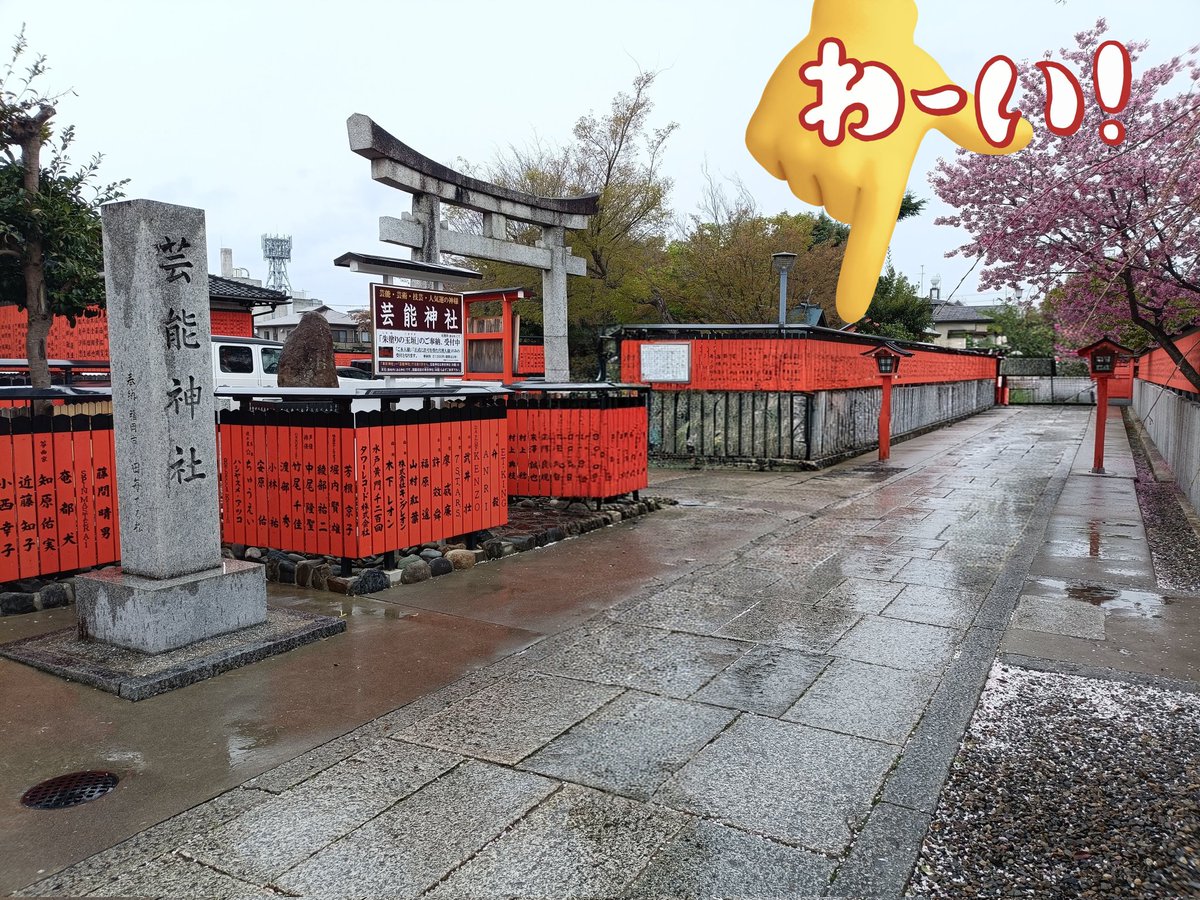 娘の母🌞 tweet media