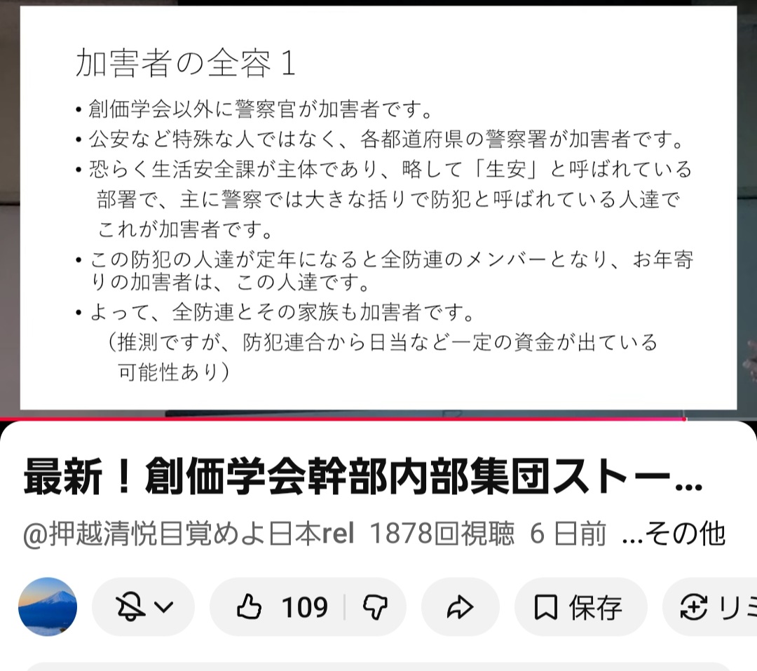⭐　🇯🇵海山 いるか　⭐ tweet media