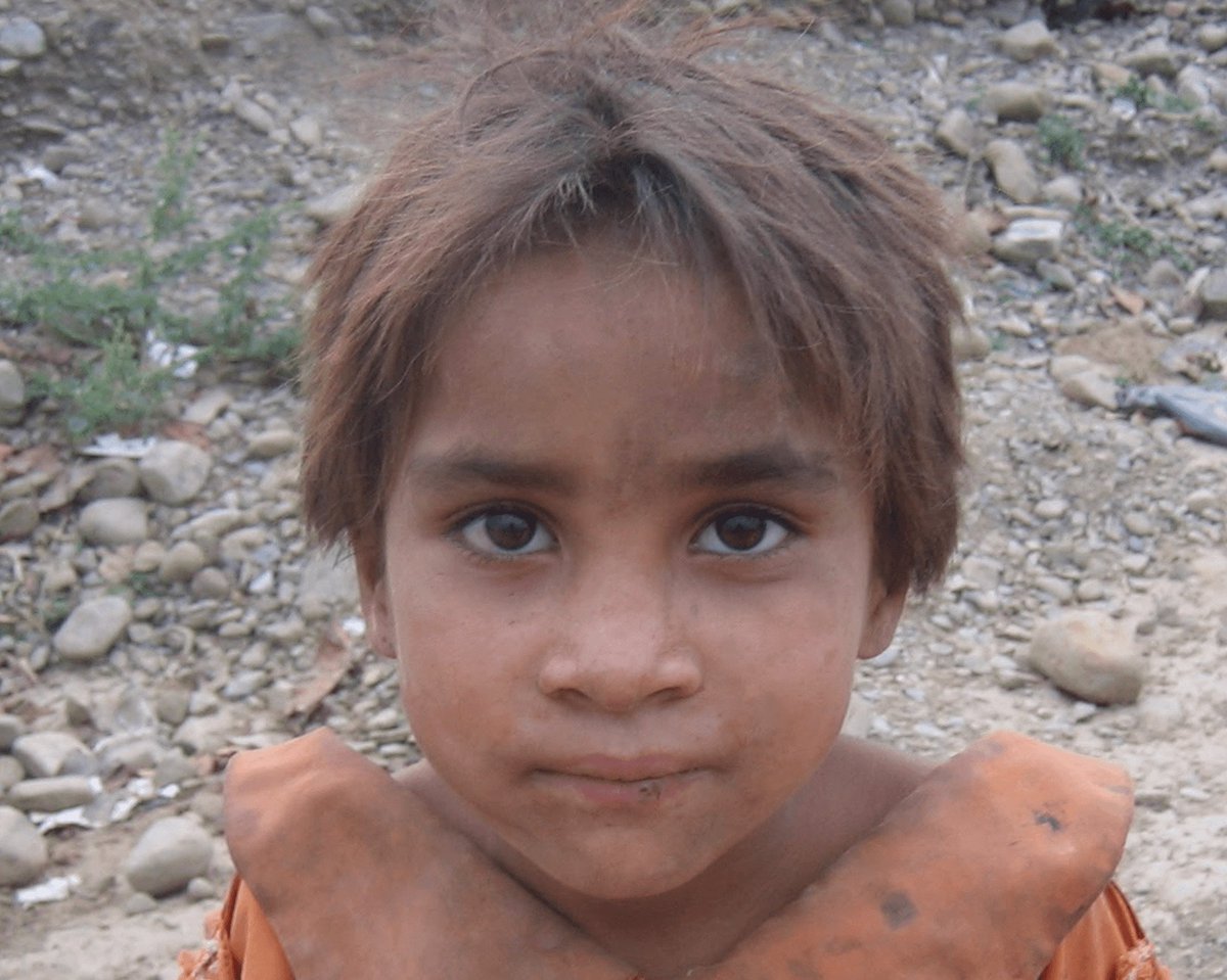 Or Leigh tweet media