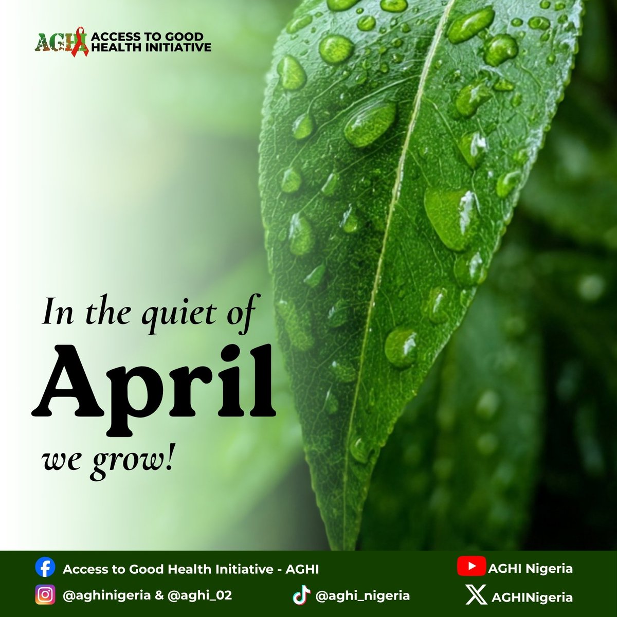 April doesn’t rush. It waters.
In the quiet moments, growth is happening, even when you can’t see it yet.

WELCOME TO A NEW MONTH 🌱
.
.
#aprilshowers 
#springvibes 
#aghinigeria 
#newmonth 
#growth