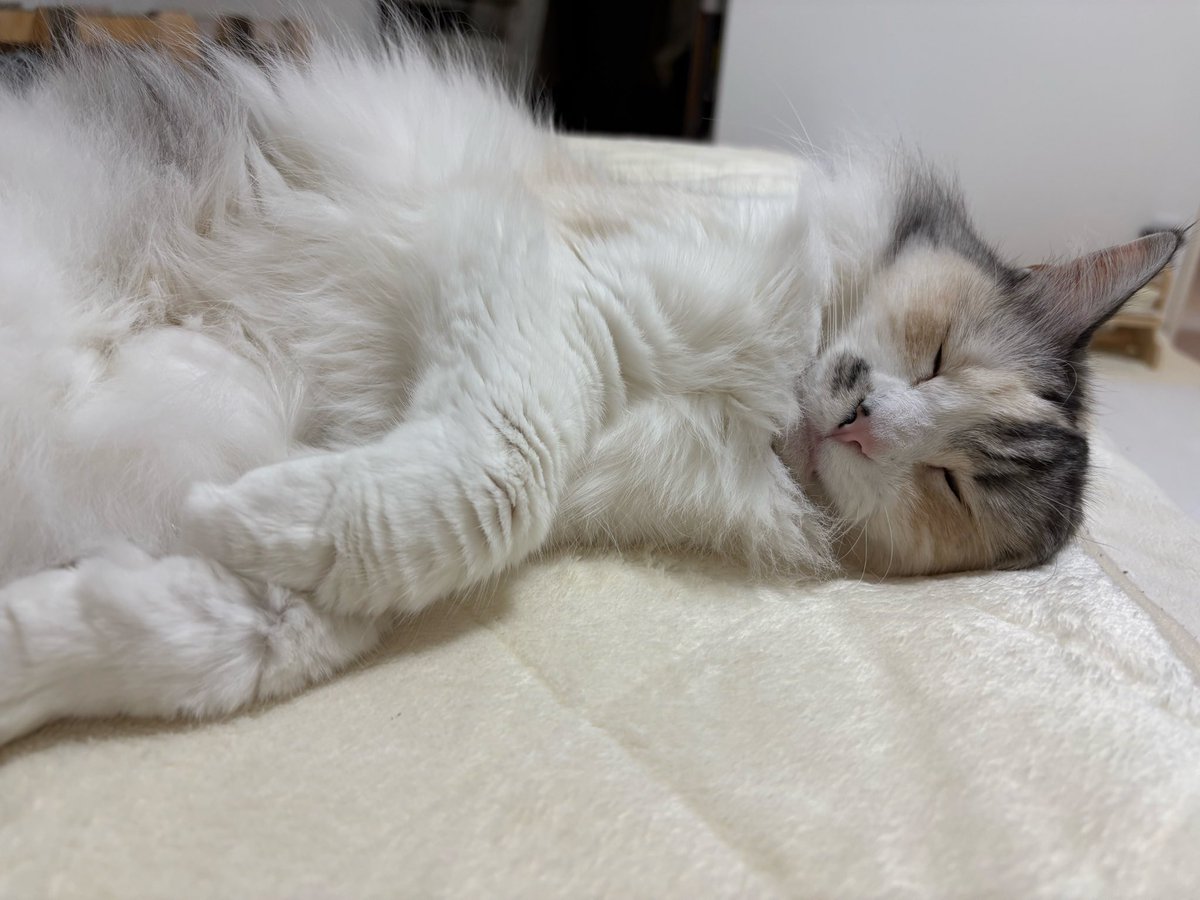 えむえむ tweet media