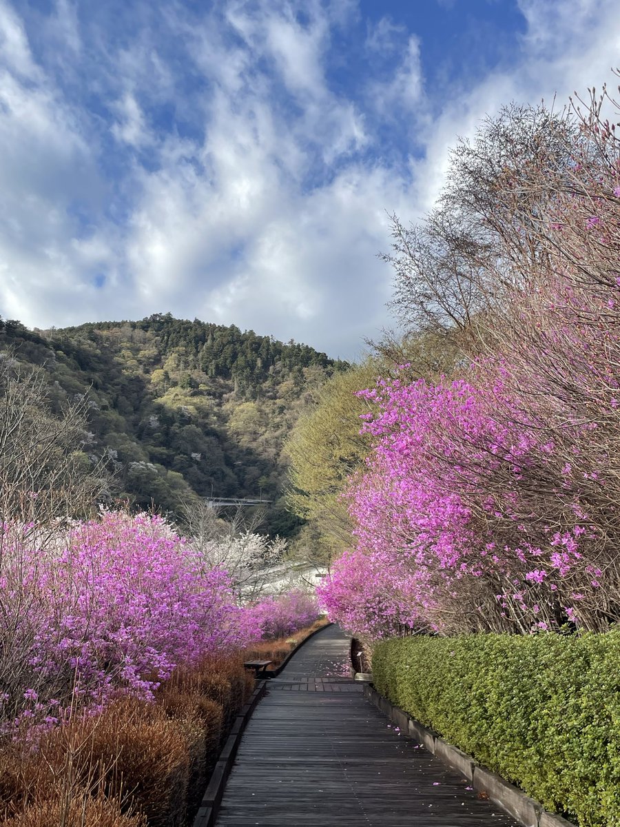県立あいかわ公園 tweet media