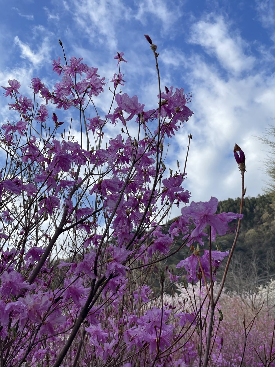 県立あいかわ公園 tweet media