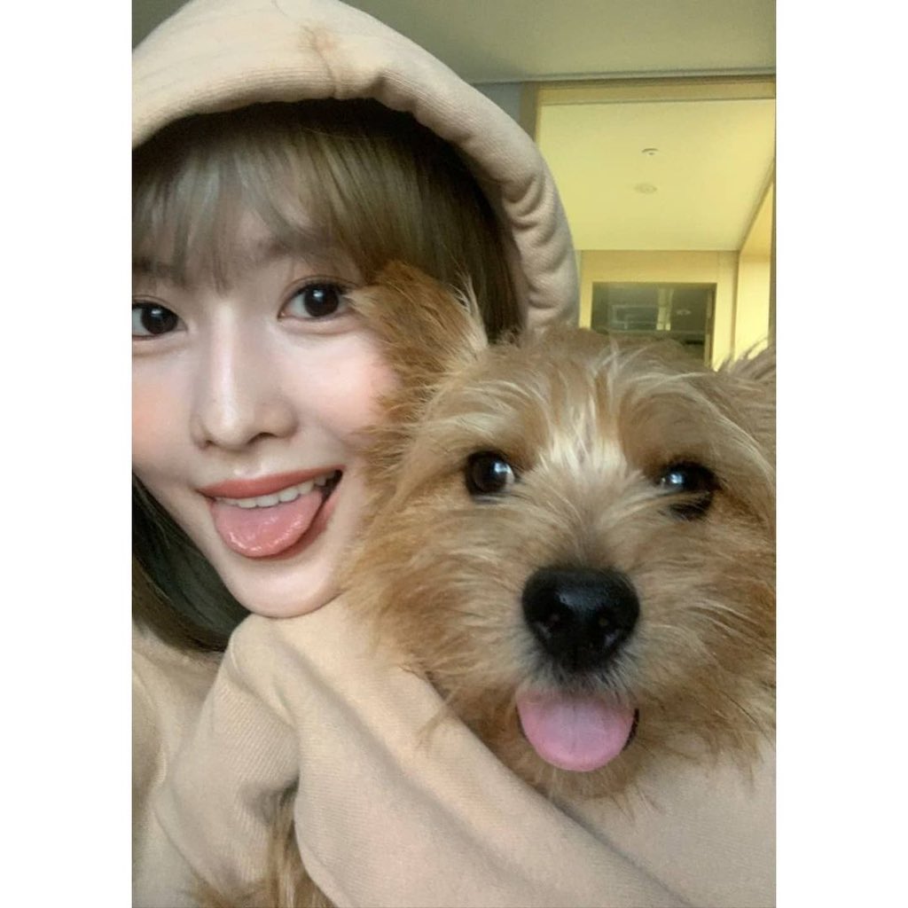 SkyMomorin17's tweet image. [#Boo_log]

엄마는 항상 제 하는 걸 따라 해요.. ㅎ
분명 저를 너무 좋아해서 그러는 거겠죠…??

사실 엄마가 무슨 생각 하는지는 잘 모르겠지만 뭐 괜찮아요 🐾

#부 #Boo