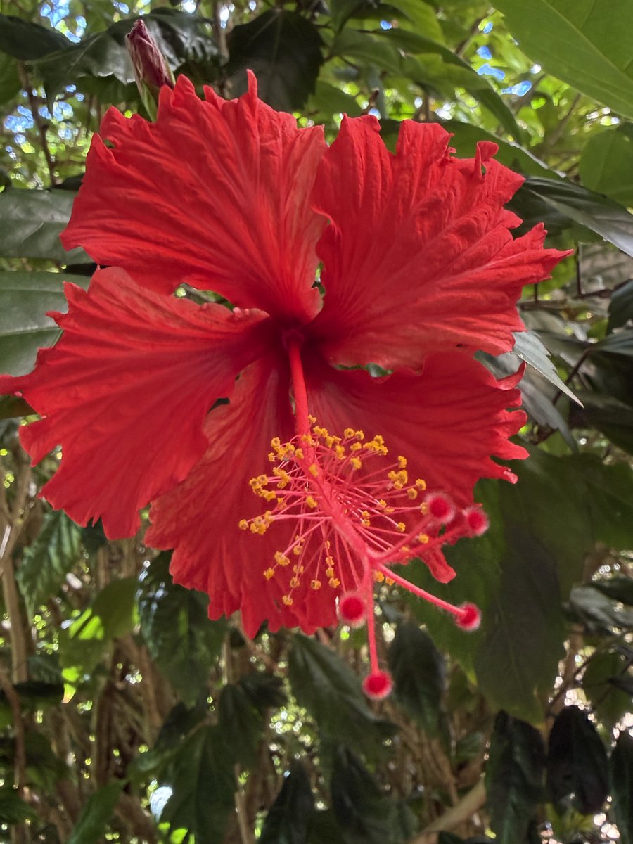 Judy Stevens tweet media