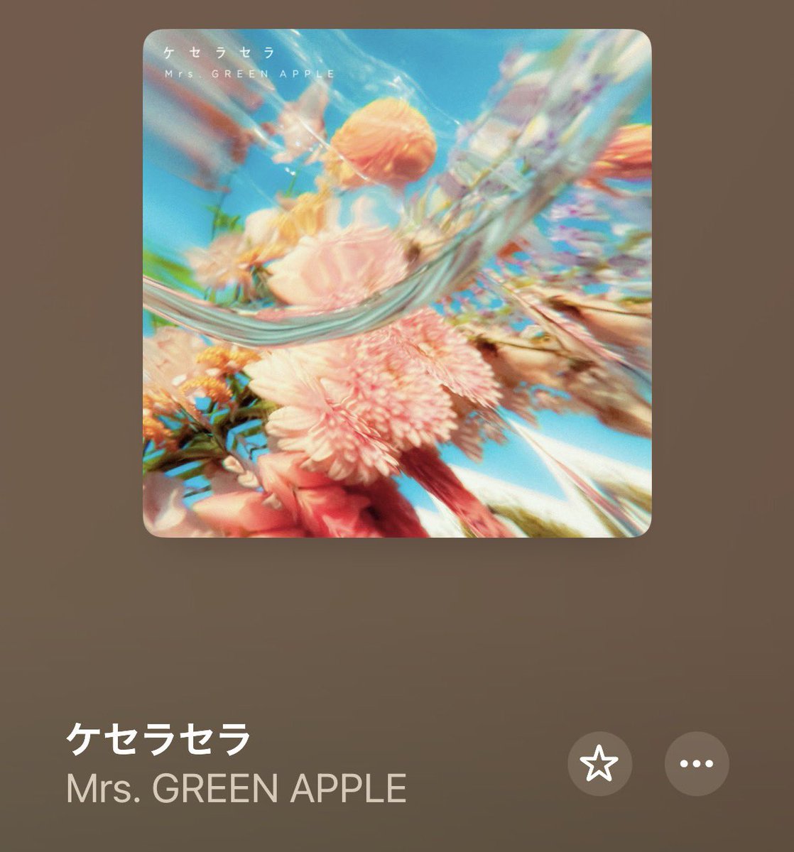 ともこ🍣 tweet media