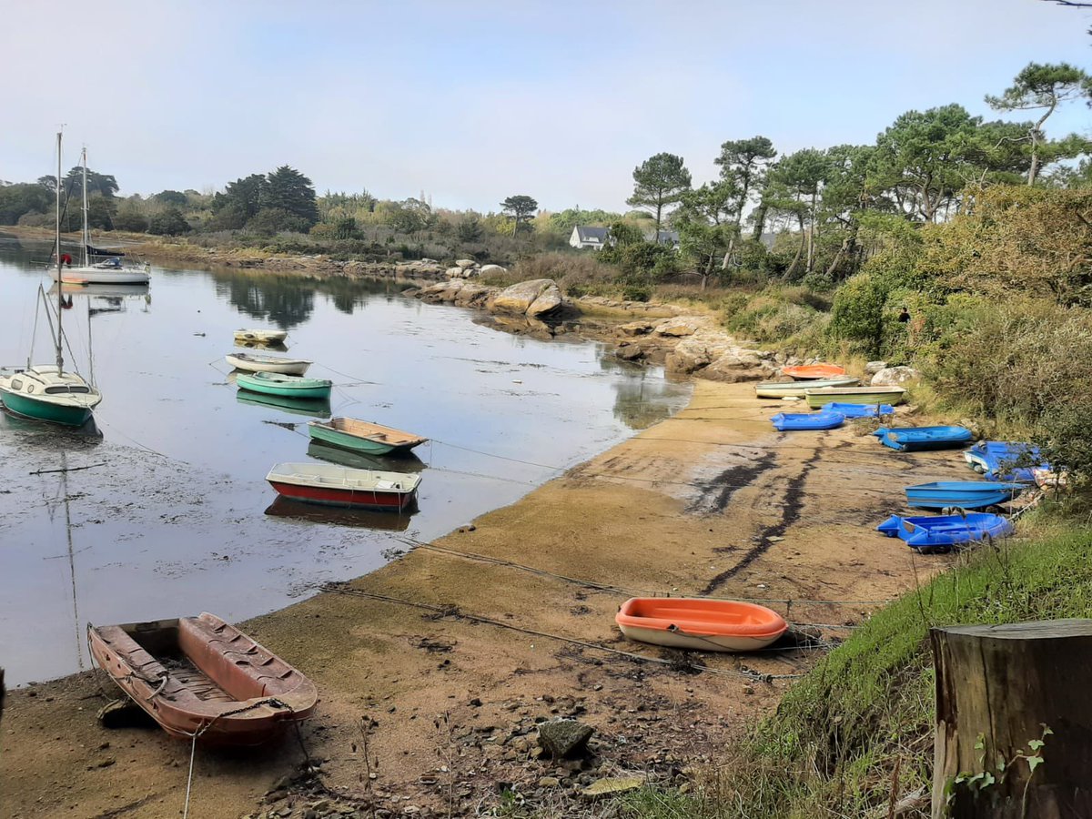 Marie lescoat tweet media