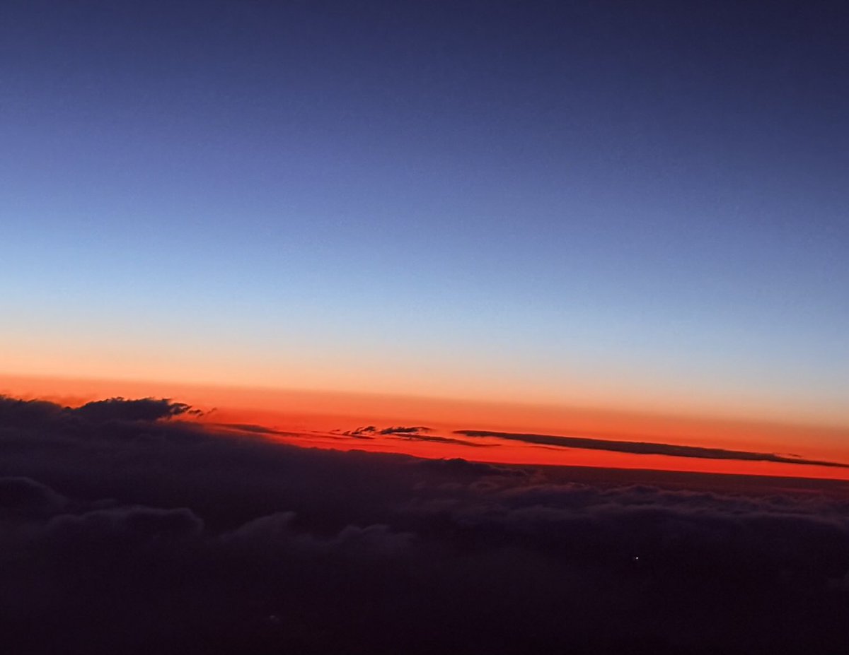 GmurHelen's tweet image. About #yesterday #sky #palm #trees 🌴 #sea #camels #dogs #beach 🏖️ #sunshine ☀️🕶️ #walk #run in the #sand 👟 #Djerba #Tunesia