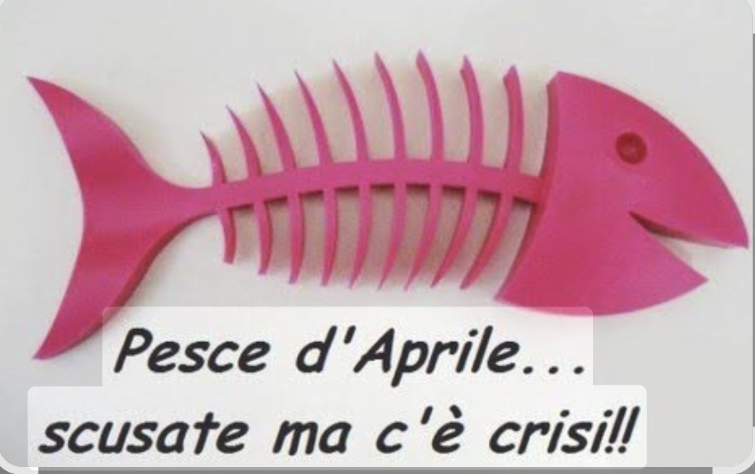 Daniela (✿❛◡❛) tweet media